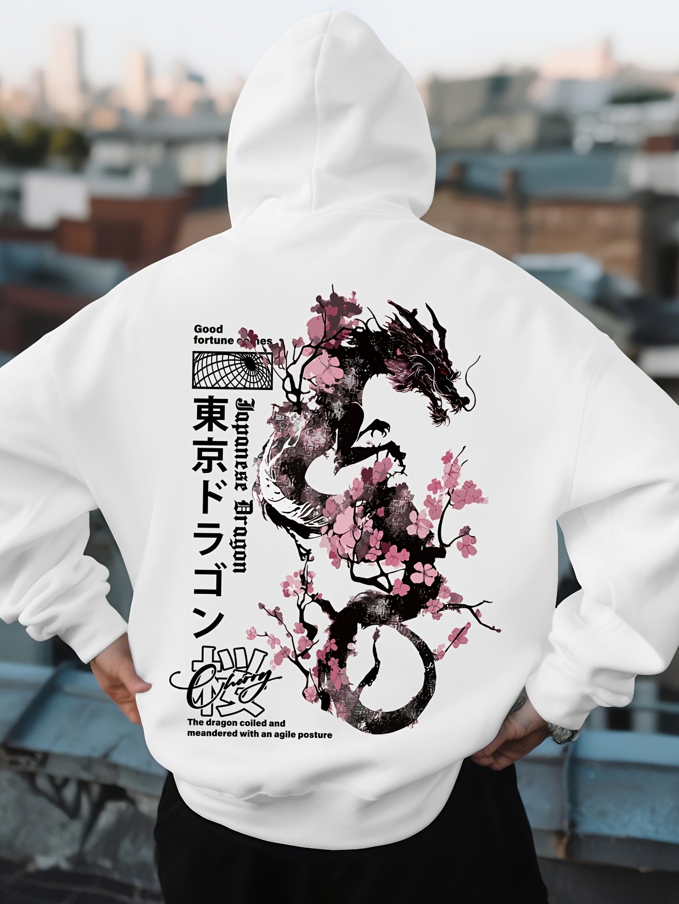 Sudadera Deportiva Hip Hop par - Street Fashion Asian Men reseña y precio